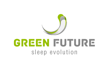 Strategie Dezvoltare 2013 Green Future