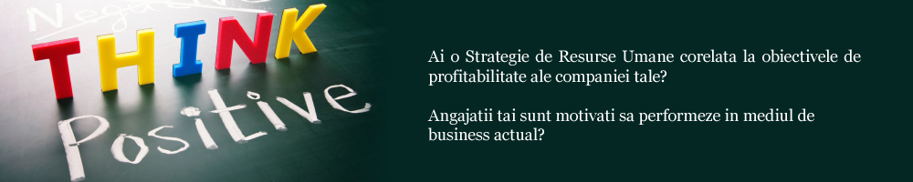 Strategie HR 2013