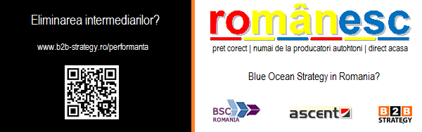 Analiza Balanced Scorecard Romania - Ascent Group - B2B STRATEGY