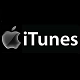 Reconstruction of the Digital Music » Apple iTunes 2001: