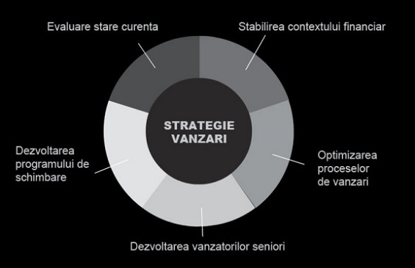 Strategie Vanzari 2013