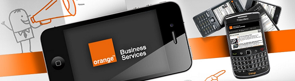 Testimoniale Strategie Business + Ultima pozitie de angajat. Corporate Sales Manager. Orange Romania: