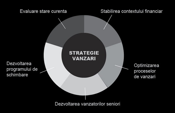 Strategie Vanzari 2014 Nedcon
