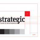 strategic-vision-development-branding-logo-size