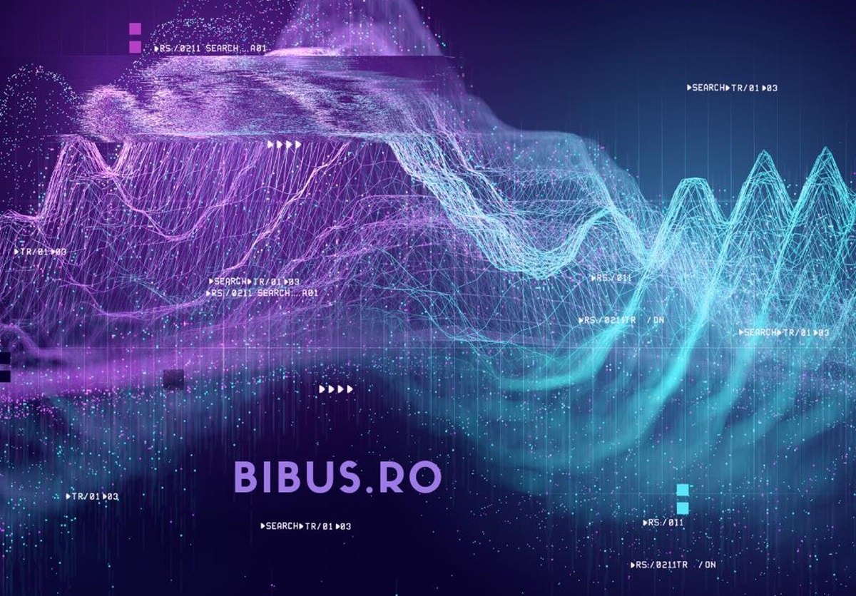 0 B2B Communication Strategy BIBUS SES ROMANIA Automotive B2B Strategy