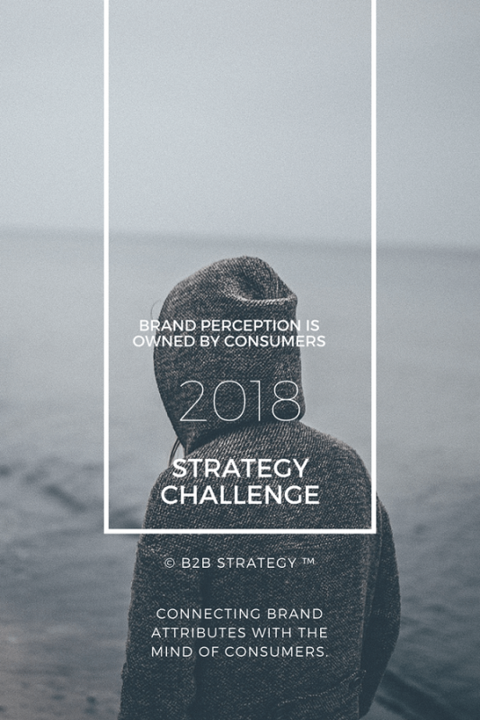 Campanie optimizare buget marketing 2018 B2B Strategy. Blog