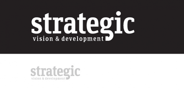 Proiect Strategie Brand Branding Strategic Vision and Development Project Management Daniel Rosca B2B Strategy